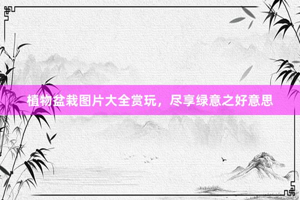 植物盆栽图片大全赏玩，尽享绿意之好意思