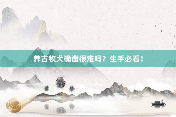 养古牧犬确凿很难吗？生手必看！